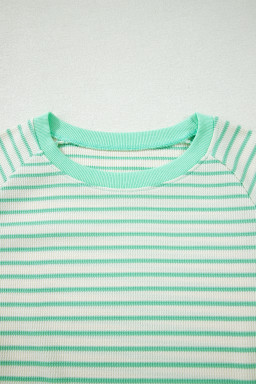 Green Stripe Colorblock Trim Round Neck Short Sleeve Tee