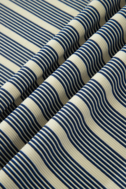 Blue Stripe Plus Size Contrast Trim Button V Neck Ruffle Sleeve Shift Dress
