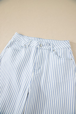 Sky Blue Stripe Casual Barrel Jeans