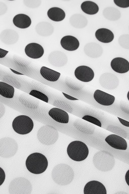 White Polka Dot Sheer Long Sleeve Round Neck Slim Top