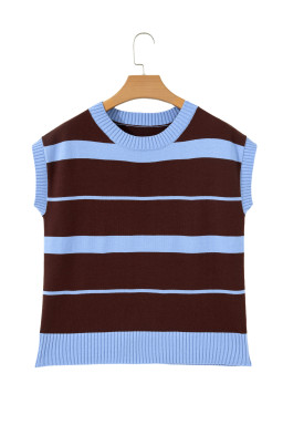 Sky Blue Stripe Striped Short Sleeve Round Neck Casual Knit Top
