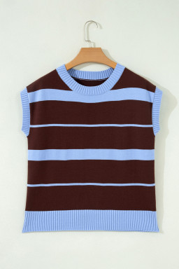Sky Blue Stripe Striped Short Sleeve Round Neck Casual Knit Top