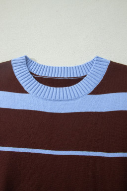 Sky Blue Stripe Striped Short Sleeve Round Neck Casual Knit Top