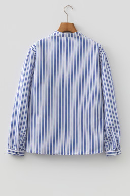 Blue Stripe Embroidered Detail Button Front Long Sleeve Shirt