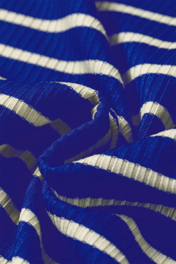 Blue Stripe Contrast Long Sleeve Crew Neck Pullover Top