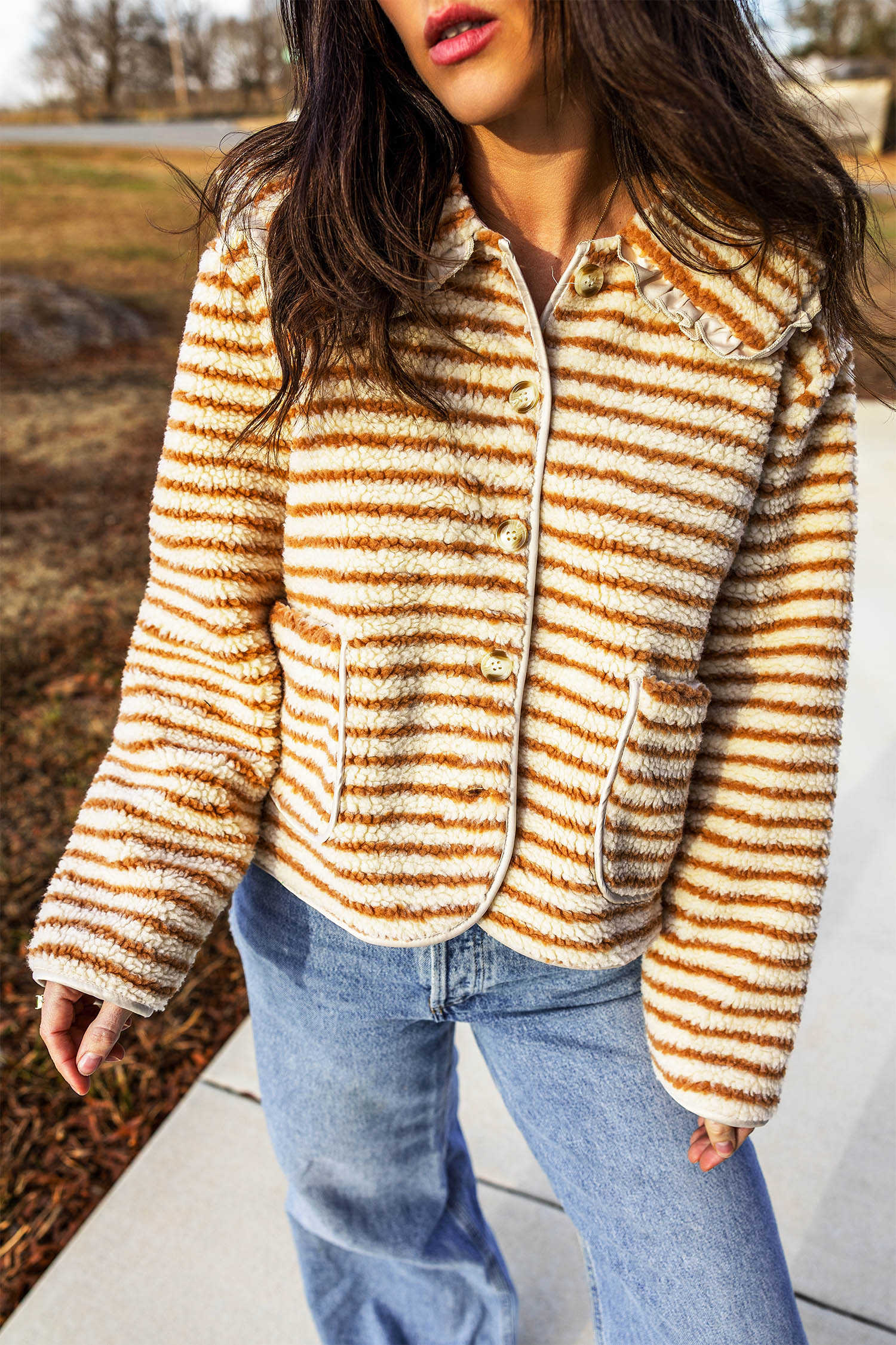 Brown Stripe Striped Fleece Button Front Long Sleeve Regular Fit Jacket