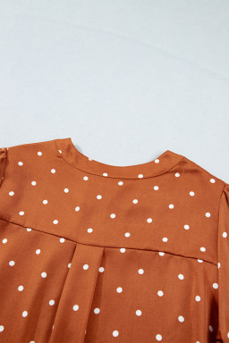 Brown Polka Dot Half Button V Neck Long Sleeve Blouse